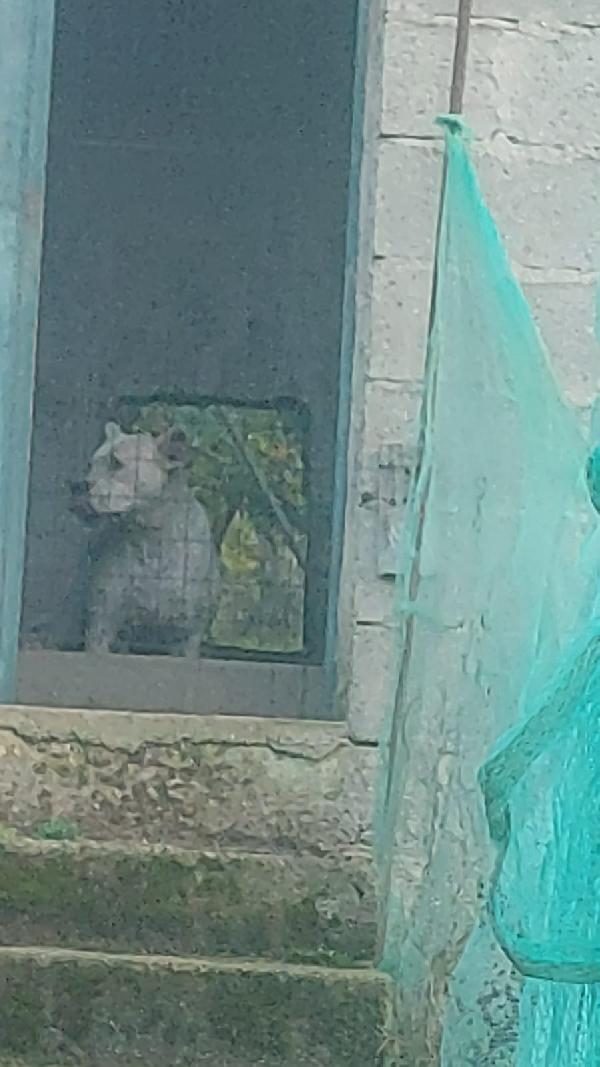 💔 OPI: Una vita in attesa di amore 💔 Foto 3